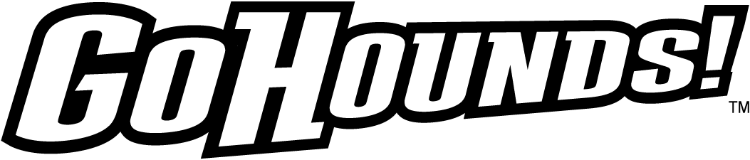 Loyola-Maryland Greyhounds 2011-Pres Wordmark Logo 06 iron on paper